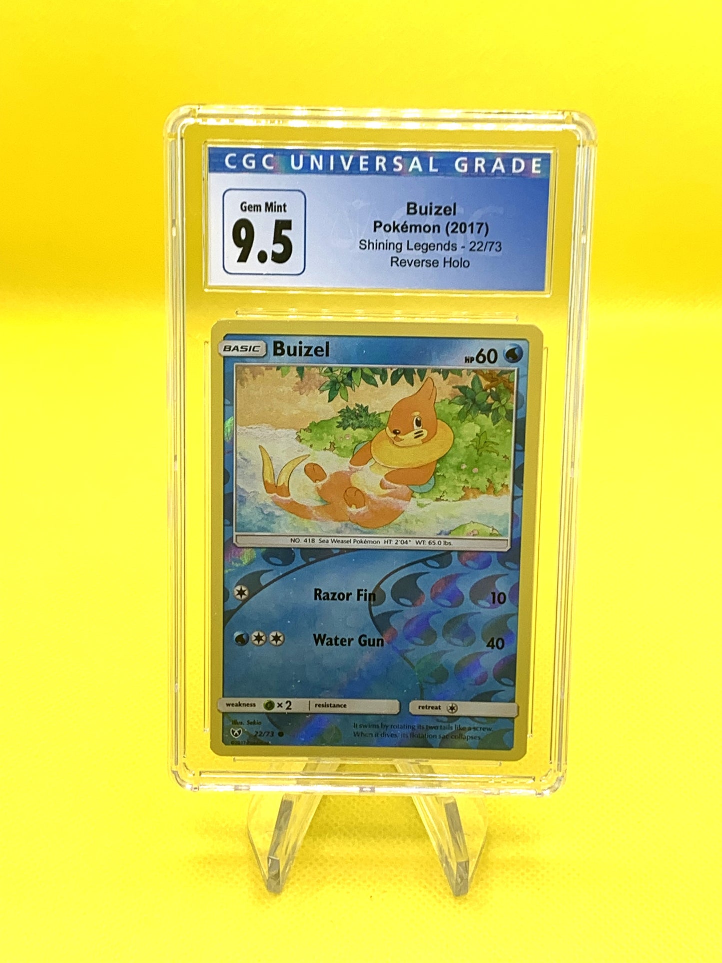 Graded Buizel